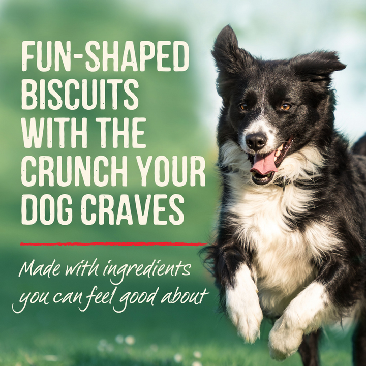 Merrick Pumpkin Patch Oven Baked Dog Treats