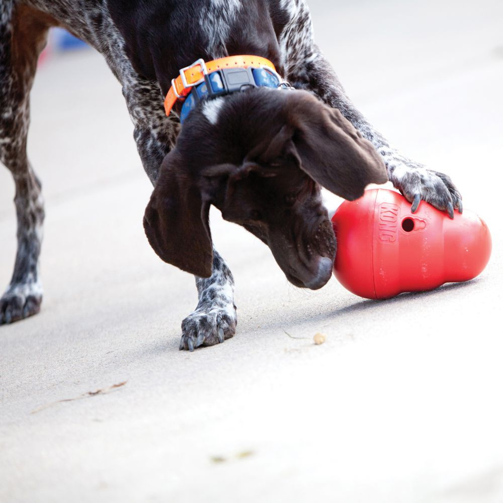 Kong Wobbler Treat Ball