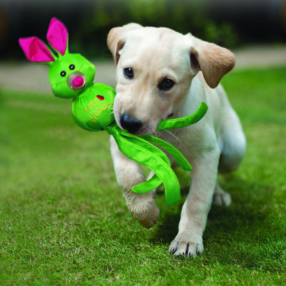 Kong Wubba Ballistic Friends Dog Toy