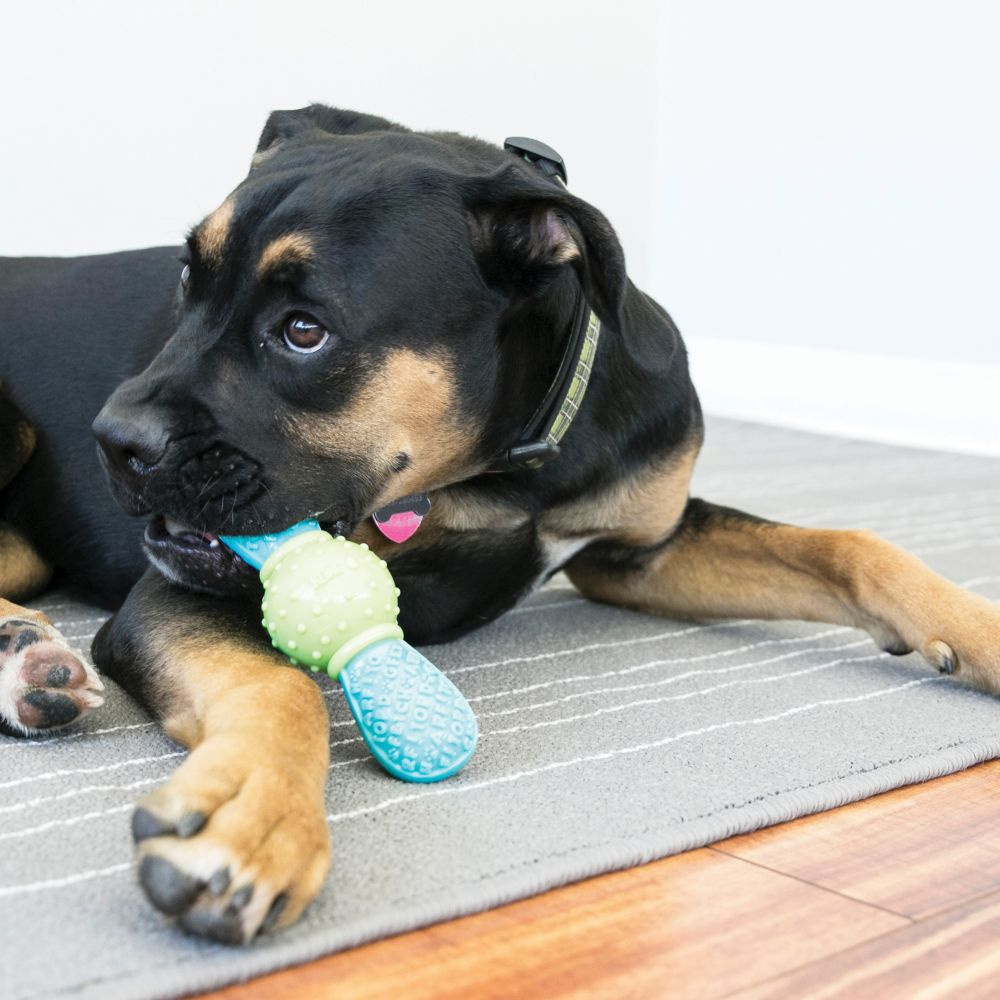 Kong CoreStrength Bow Tie Dog Chew Toy