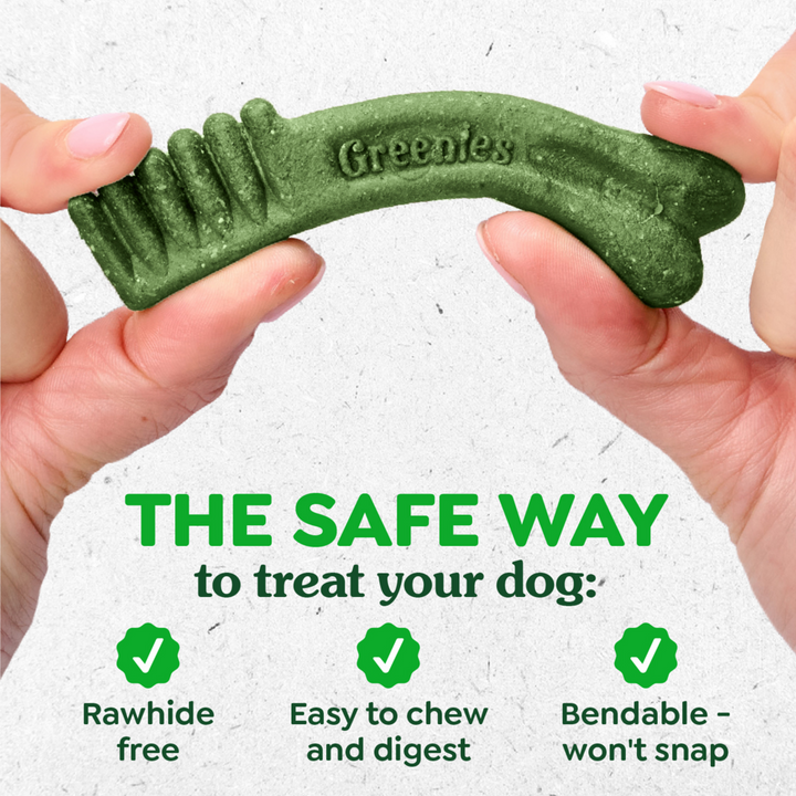 Greenies Original Dental Dog Chews Petite