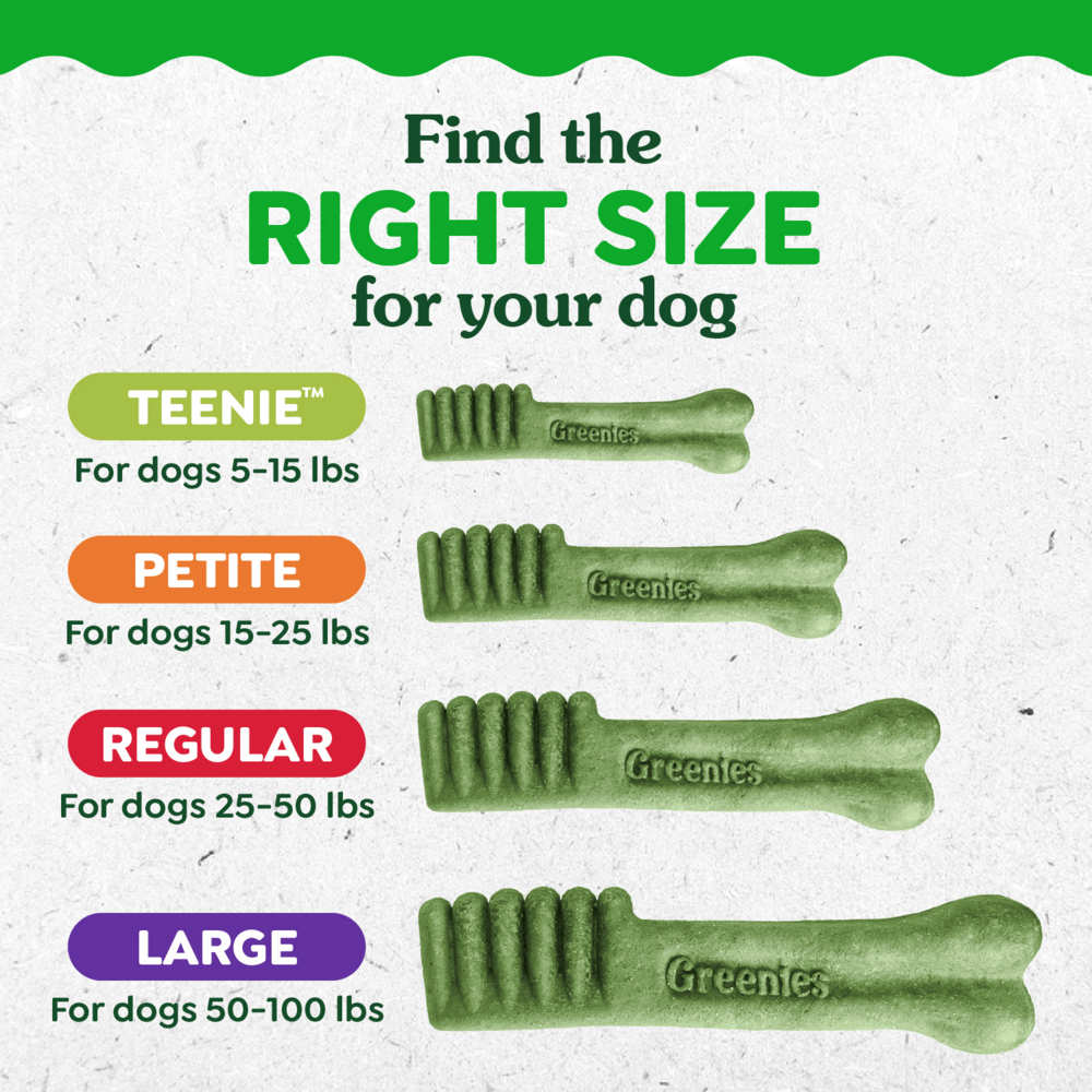 Greenies Original Dental Dog Chews Petite