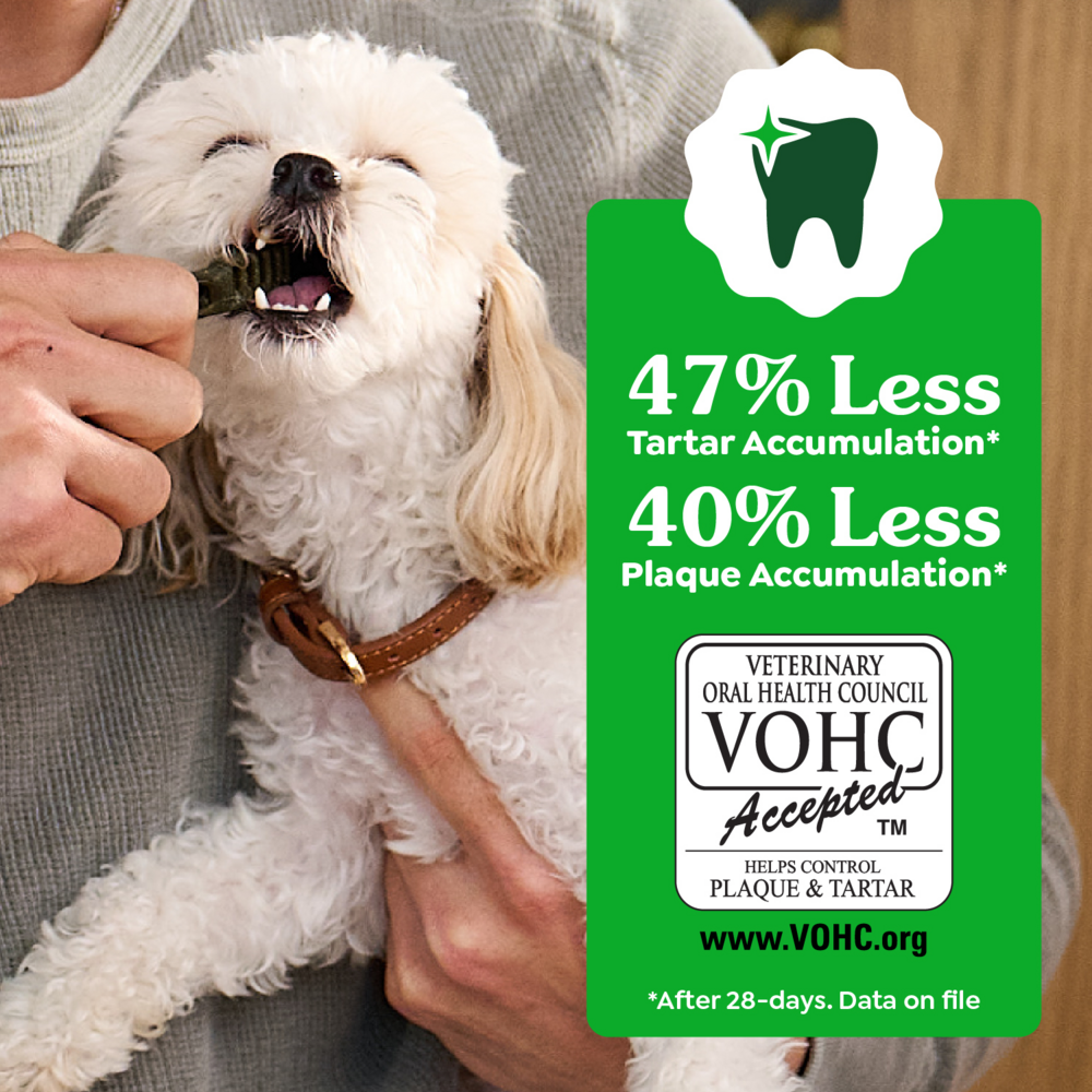 Greenies Original Dental Dog Chews Large