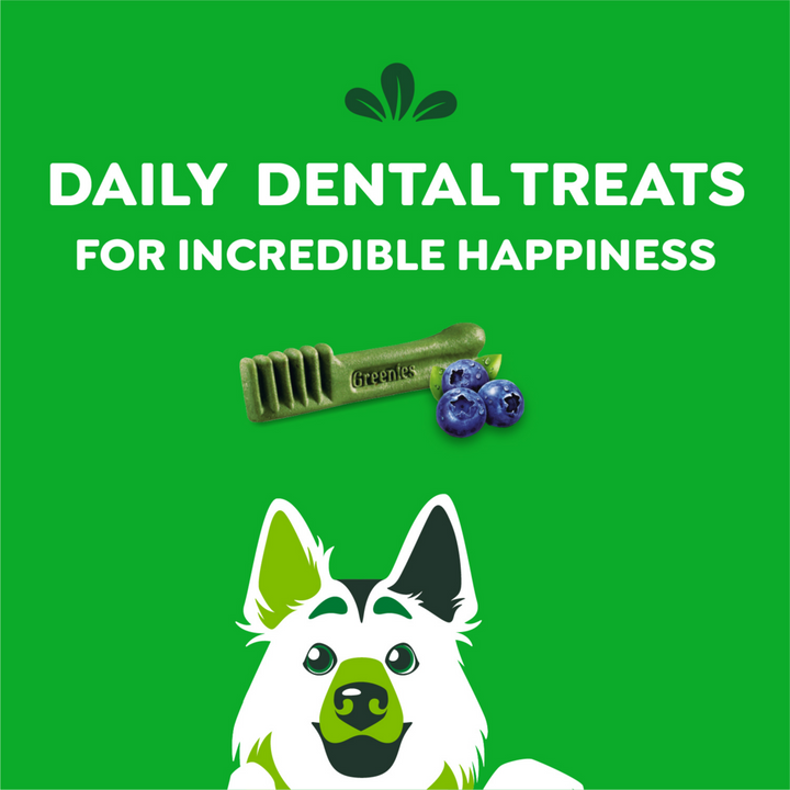 Greenies Aging Care Large Dental Care Dog Treats