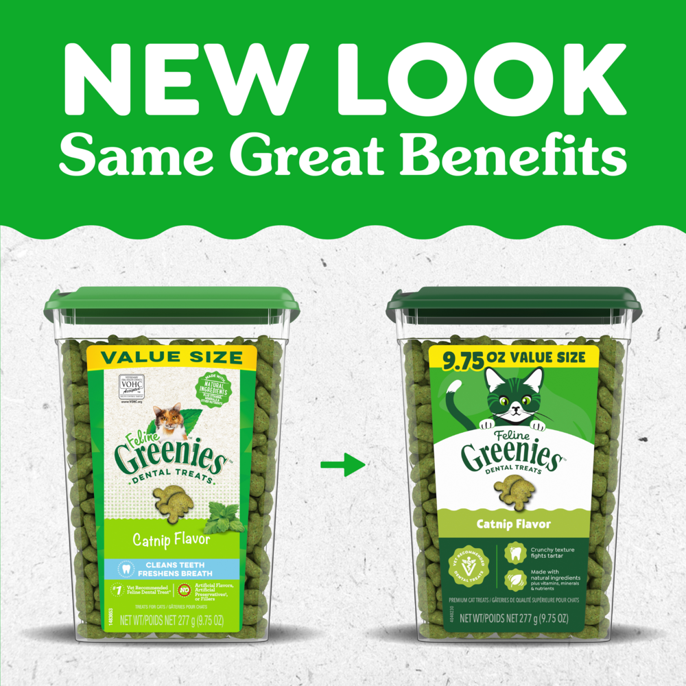 Feline Greenies Adult Dental Catnip Flavor Cat Treats