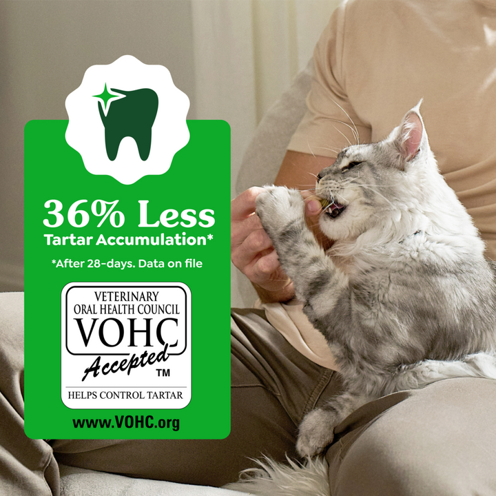 Feline Greenies Adult Dental Catnip Flavor Cat Treats