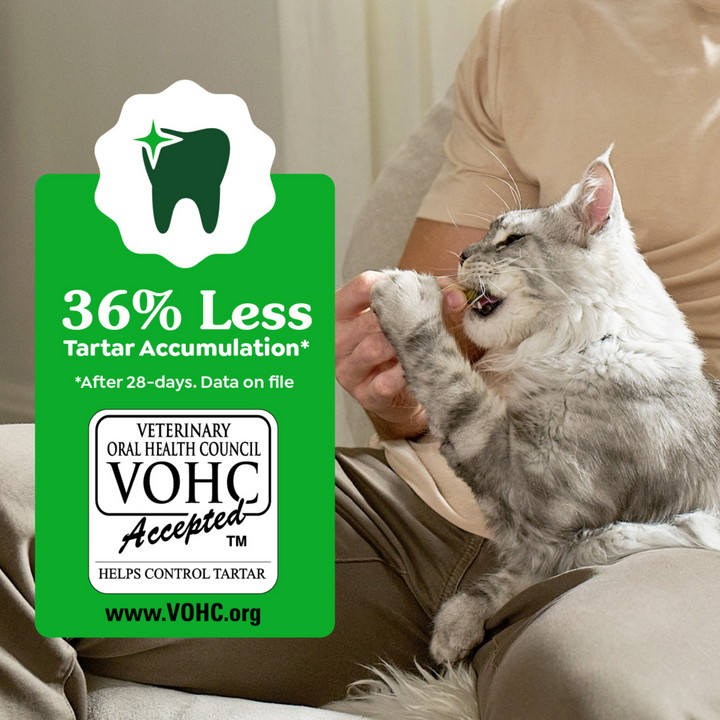 Feline Greenies Adult Natural Dental Care Oven Roasted Chicken Flavor Cat Treats