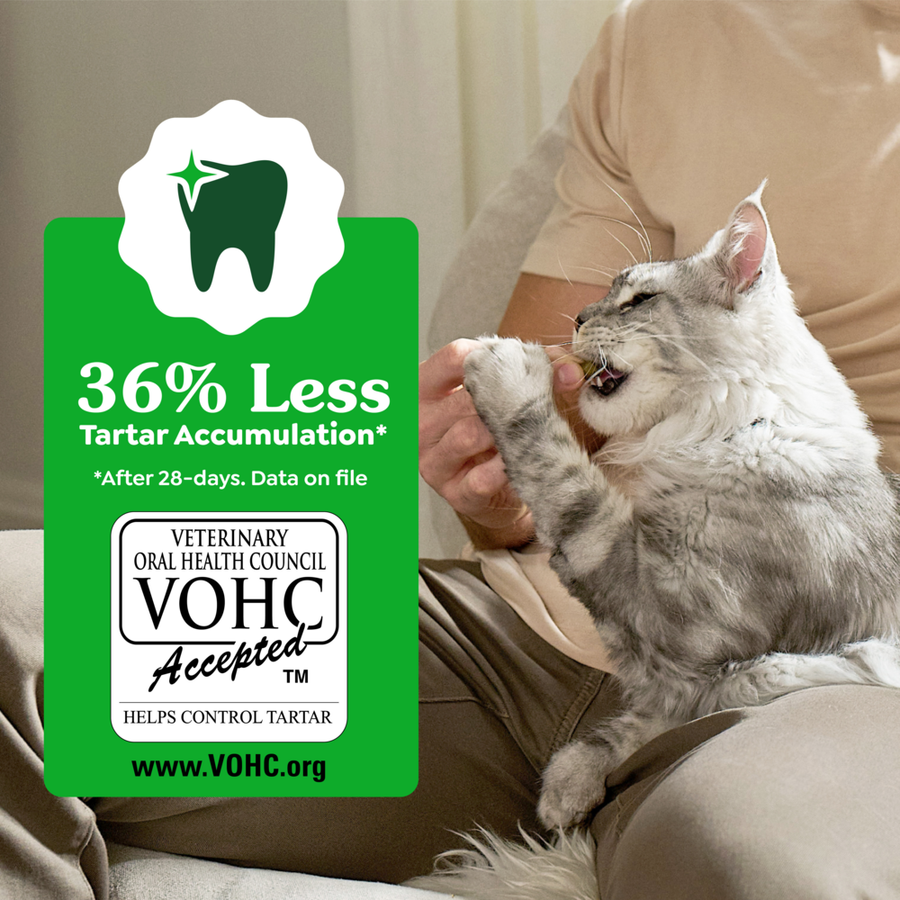 Feline Greenies Adult Natural Dental Care Savory Salmon Flavor Cat Treats