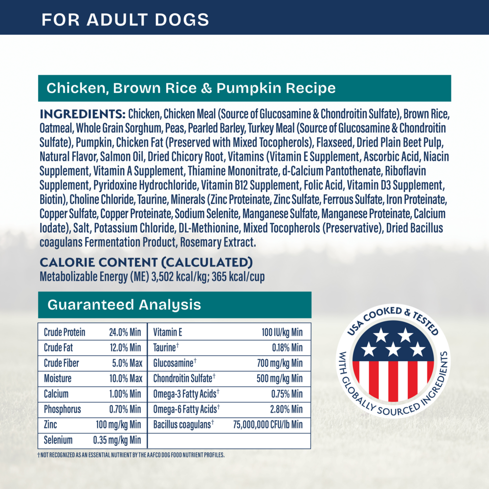 Natural Balance Health Protection Dry Dog Food, Chicken, Brown Rice & Pumpkin Recipe