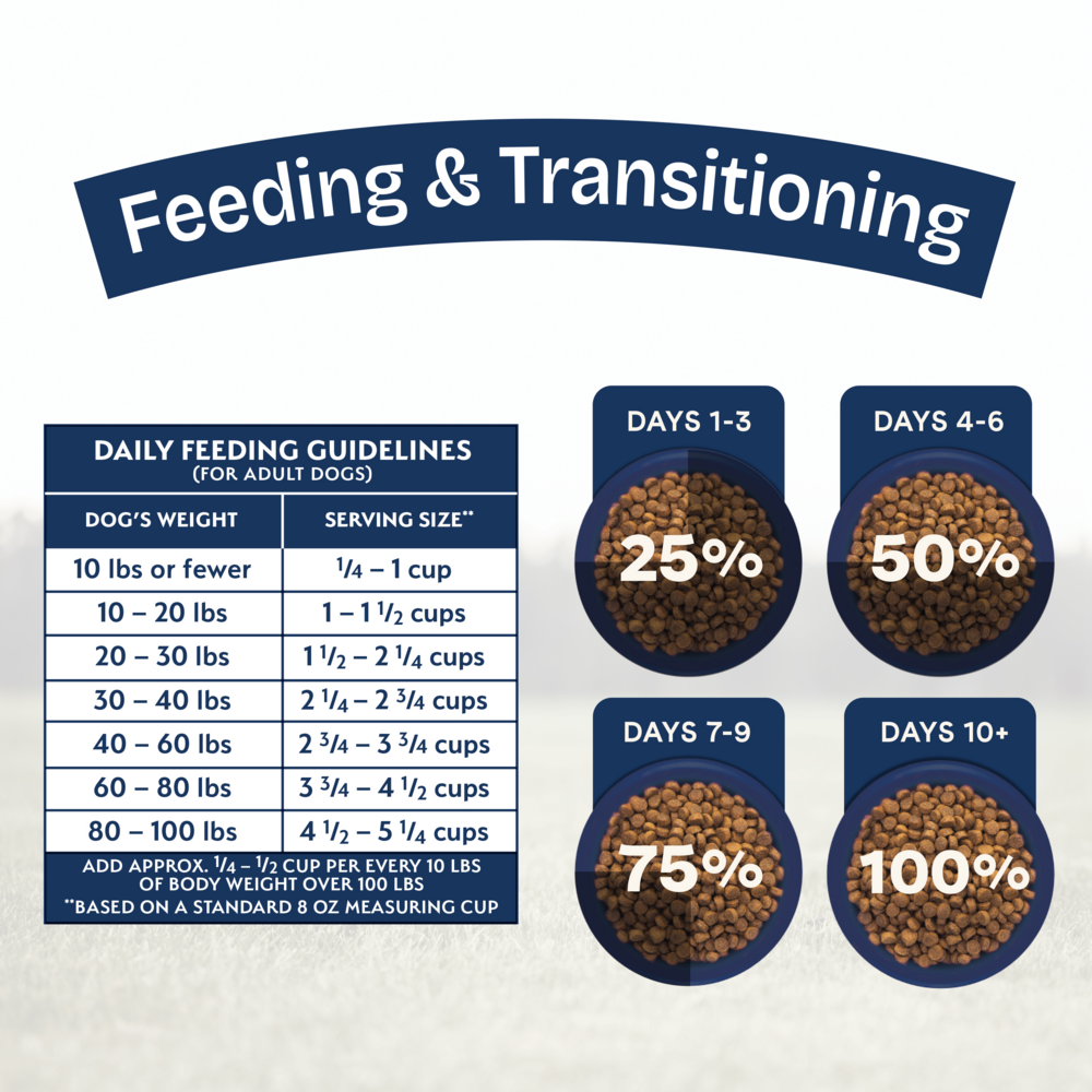 Natural Balance Health Protection Dry Dog Food, Chicken, Brown Rice & Pumpkin Recipe