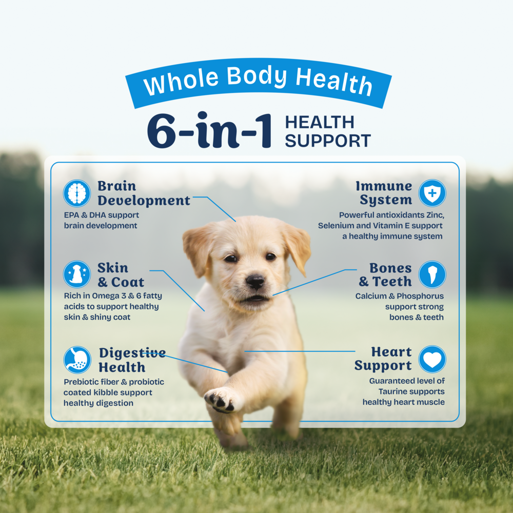 Natural Balance Health Protection Puppy Dry Dog Food, Chicken, Brown Rice & Pumpkin Recipe