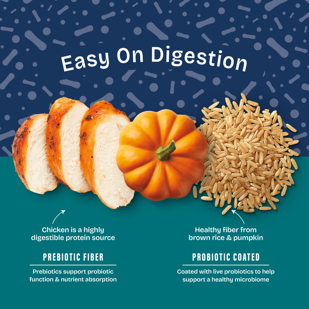 Natural Balance Health Protection Puppy Dry Dog Food, Chicken, Brown Rice & Pumpkin Recipe
