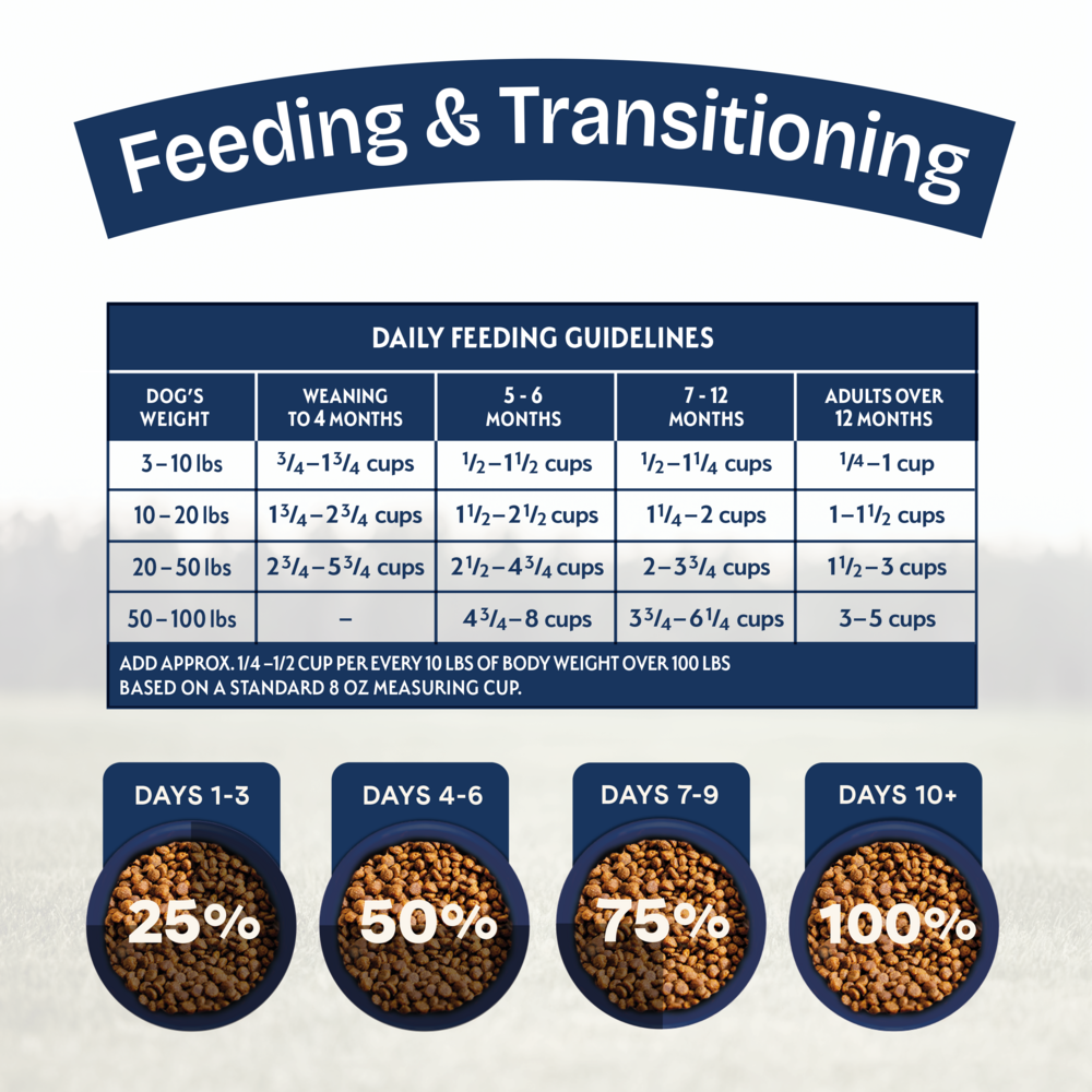 Natural Balance Health Protection Puppy Dry Dog Food, Chicken, Brown Rice & Pumpkin Recipe