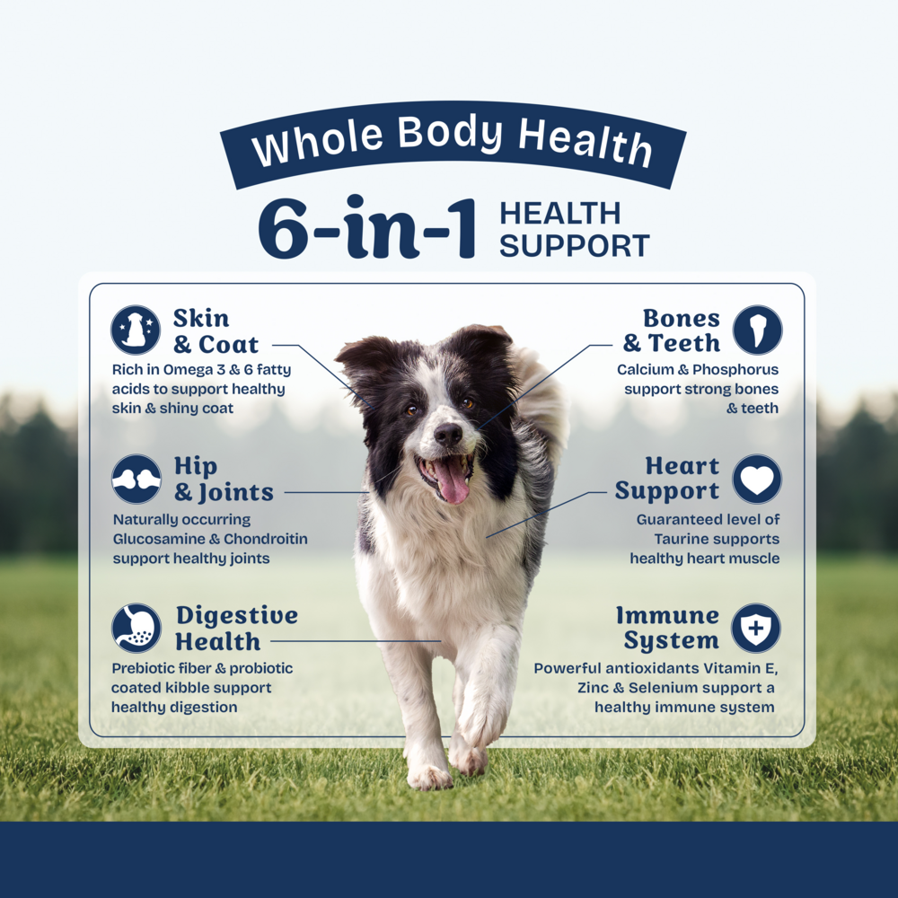 Natural Balance Health Protection Dry Dog Food, Salmon, Brown Rice & Pumpkin Recipe