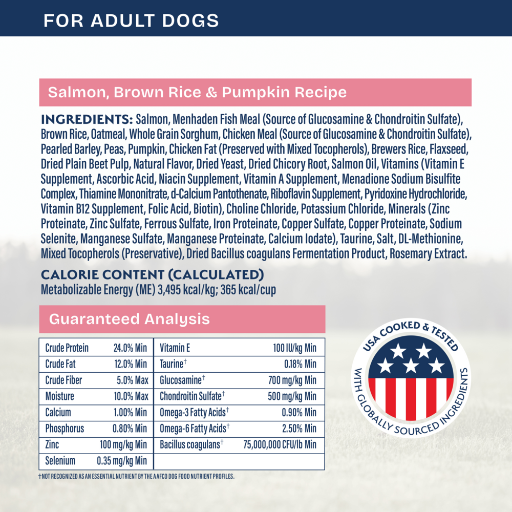 Natural Balance Health Protection Dry Dog Food, Salmon, Brown Rice & Pumpkin Recipe