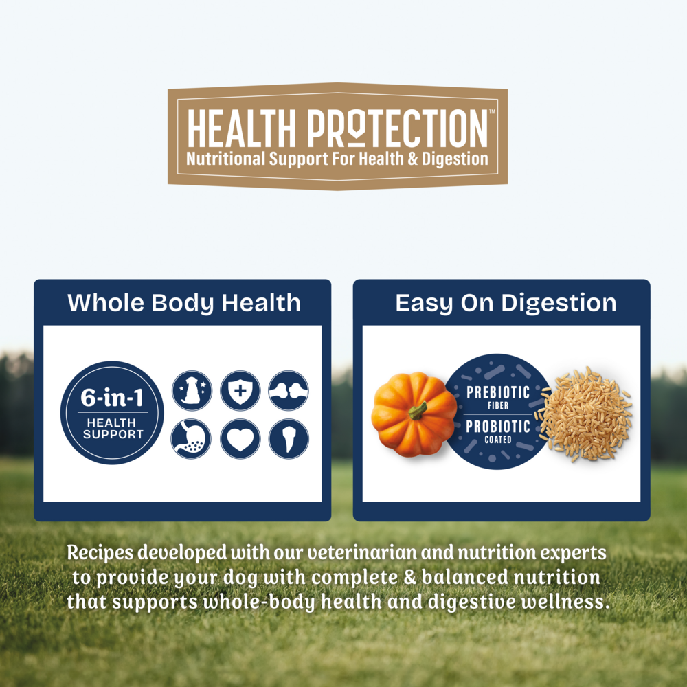 Natural Balance Health Protection Dry Dog Food, Salmon, Brown Rice & Pumpkin Recipe