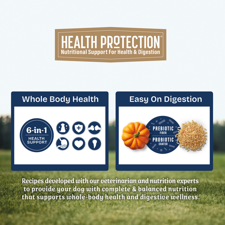 Natural Balance Health Protection Dry Dog Food, Lamb, Brown Rice & Pumpkin Recipe