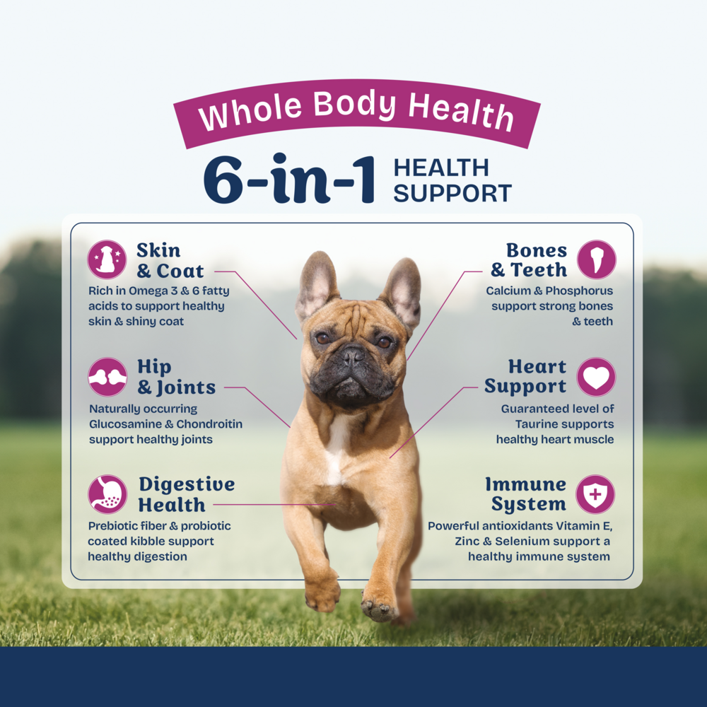 Natural Balance Health Protection Small Breed Dry Dog Food, Chicken, Brown Rice & Pumpkin Recipe