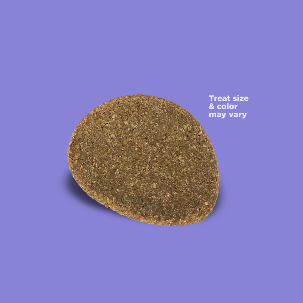 NutriSource Element Series Chicken & Duck Crispy Crispers
