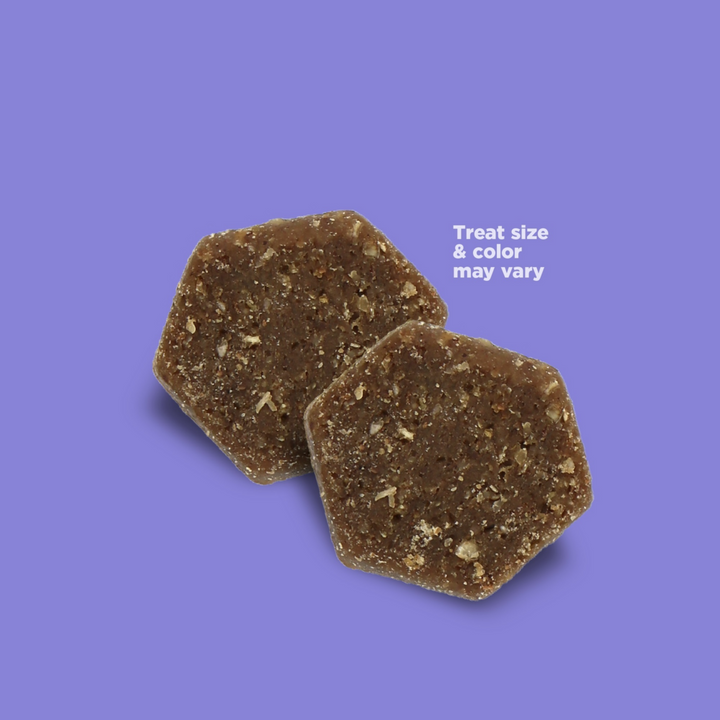 NutriSource GF Big Bite Beef Dog Treat