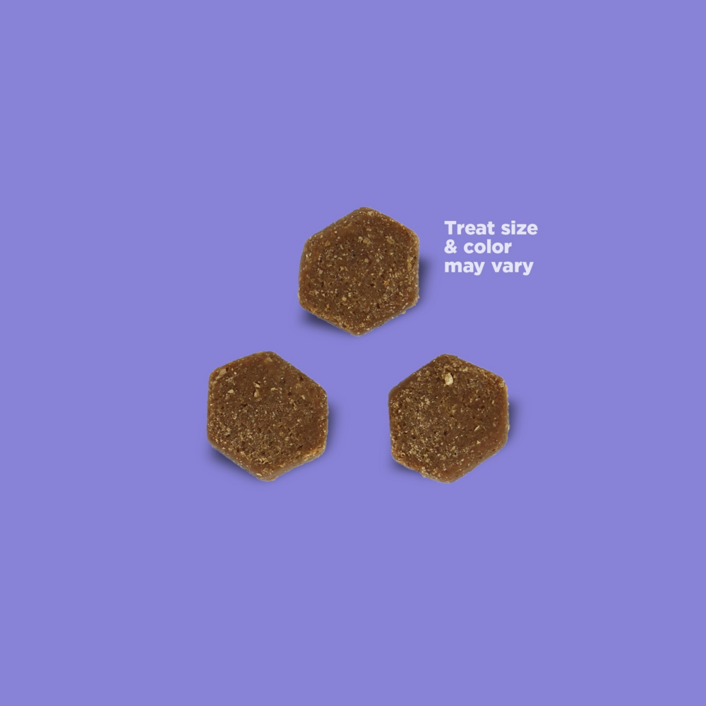 NutriSource Little Bites Salmon Dog Treat