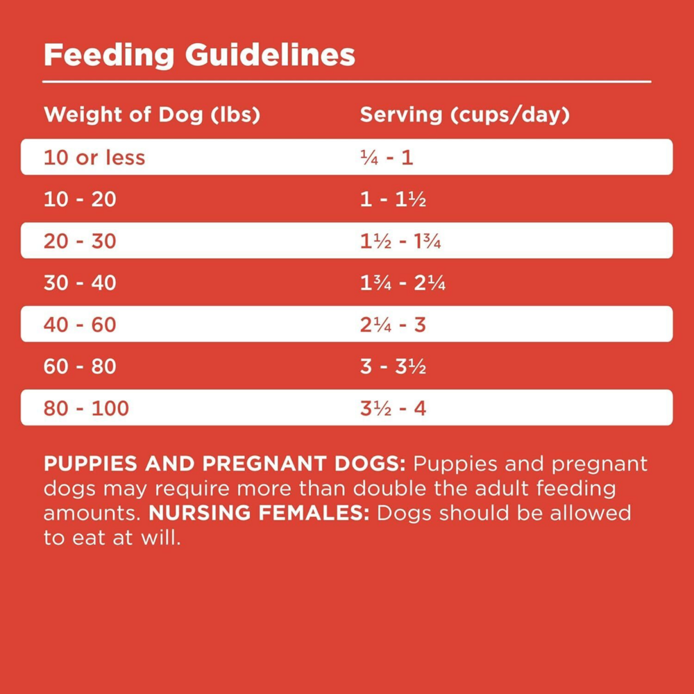 Bixbi Rawbble Freeze Dried Coated Beef Kibble Recipe for Dogs