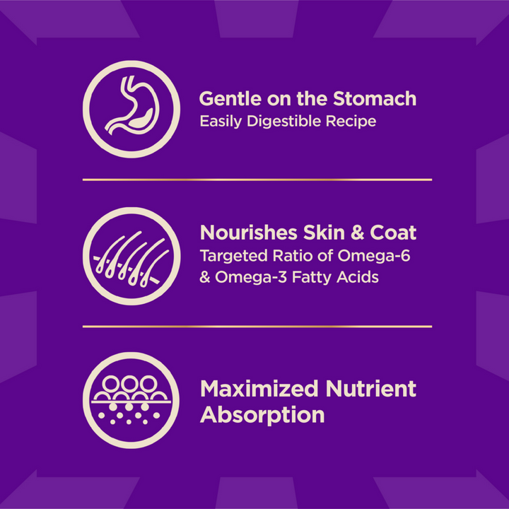 Wellness Core + Sensitive Skin & Stomach Salmon & Rice Dog Food
