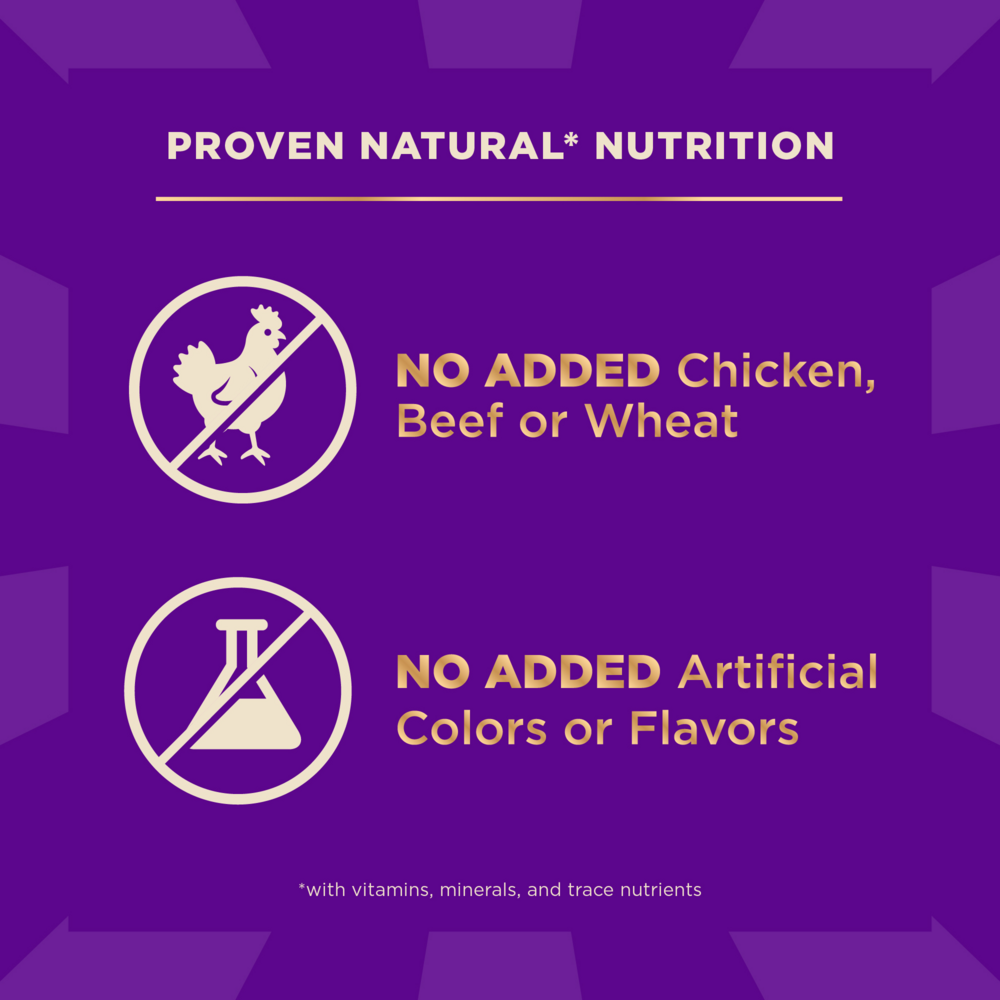 Wellness Core + Sensitive Skin & Stomach Salmon & Rice Dog Food
