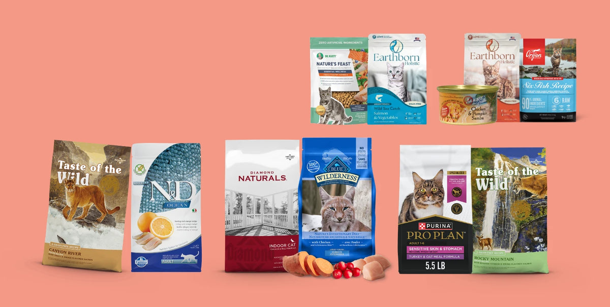 Curated-Pets-Category-Cats