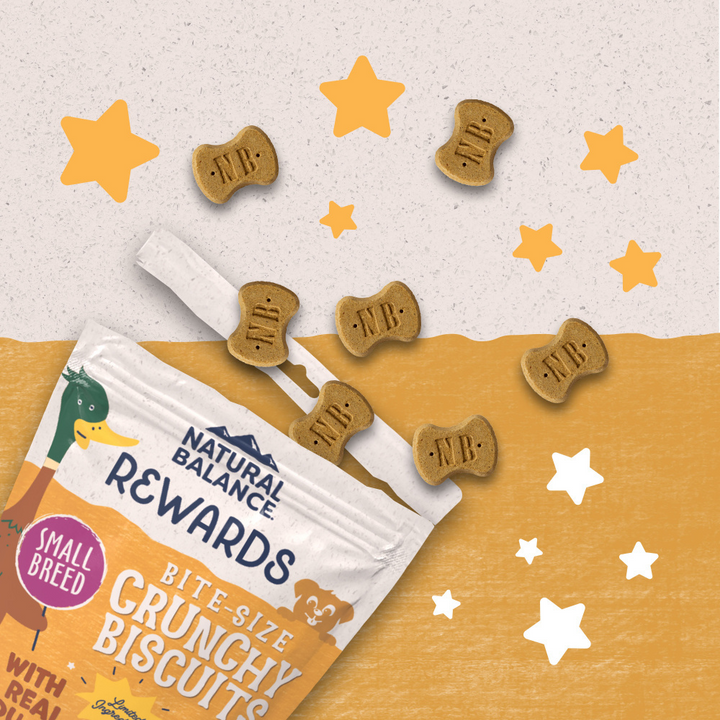 Natural Balance Rewards Crunchy Biscuits Dog Treats for Small Breeds with Real Duck