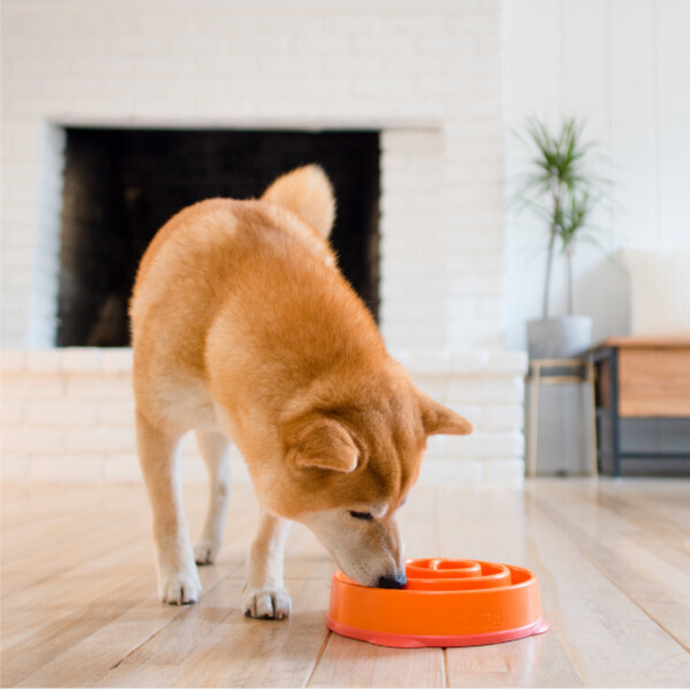 Outward Hound Fun Feeder Orange Swirl Dog Bowl