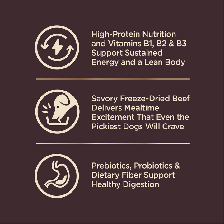 Wellness CORE  Grained Beef & Barley Recipe