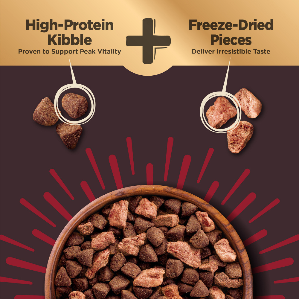 Wellness CORE  Grained Beef & Barley Recipe