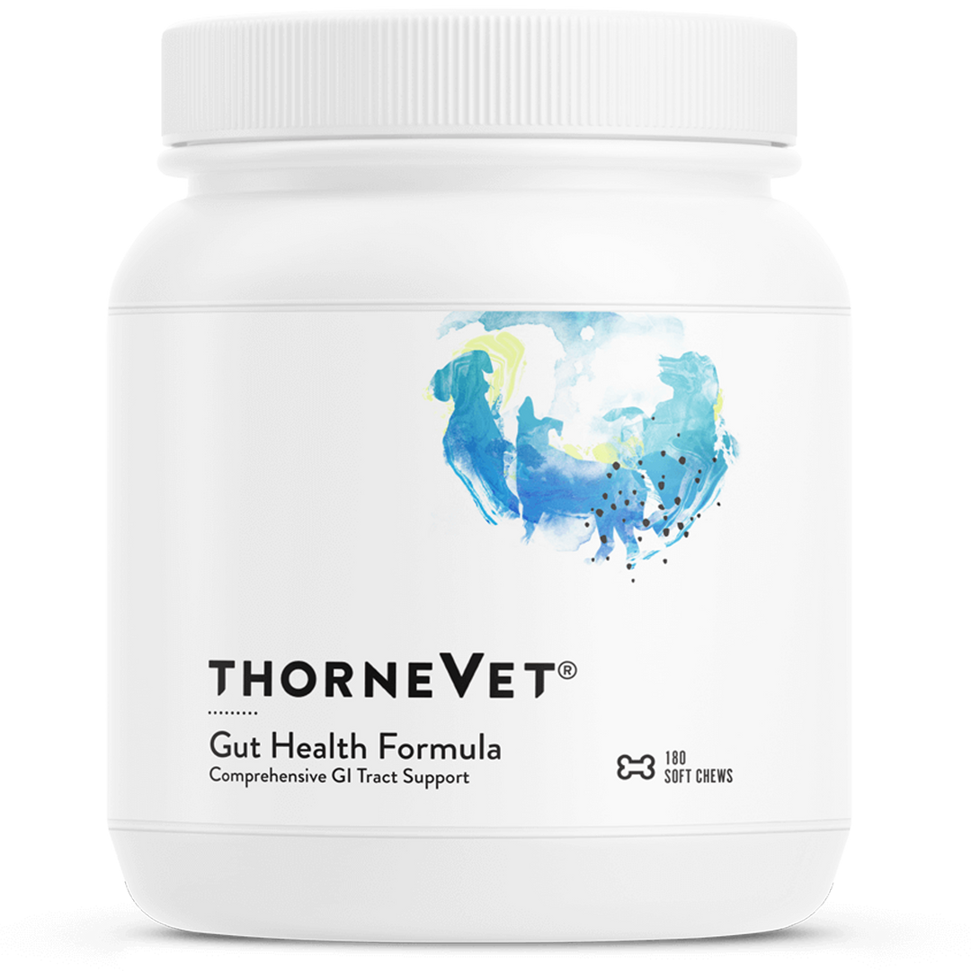 Gut Health Formula 180 soft chews Curated Wellness
